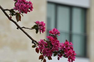 _DSC8956-01